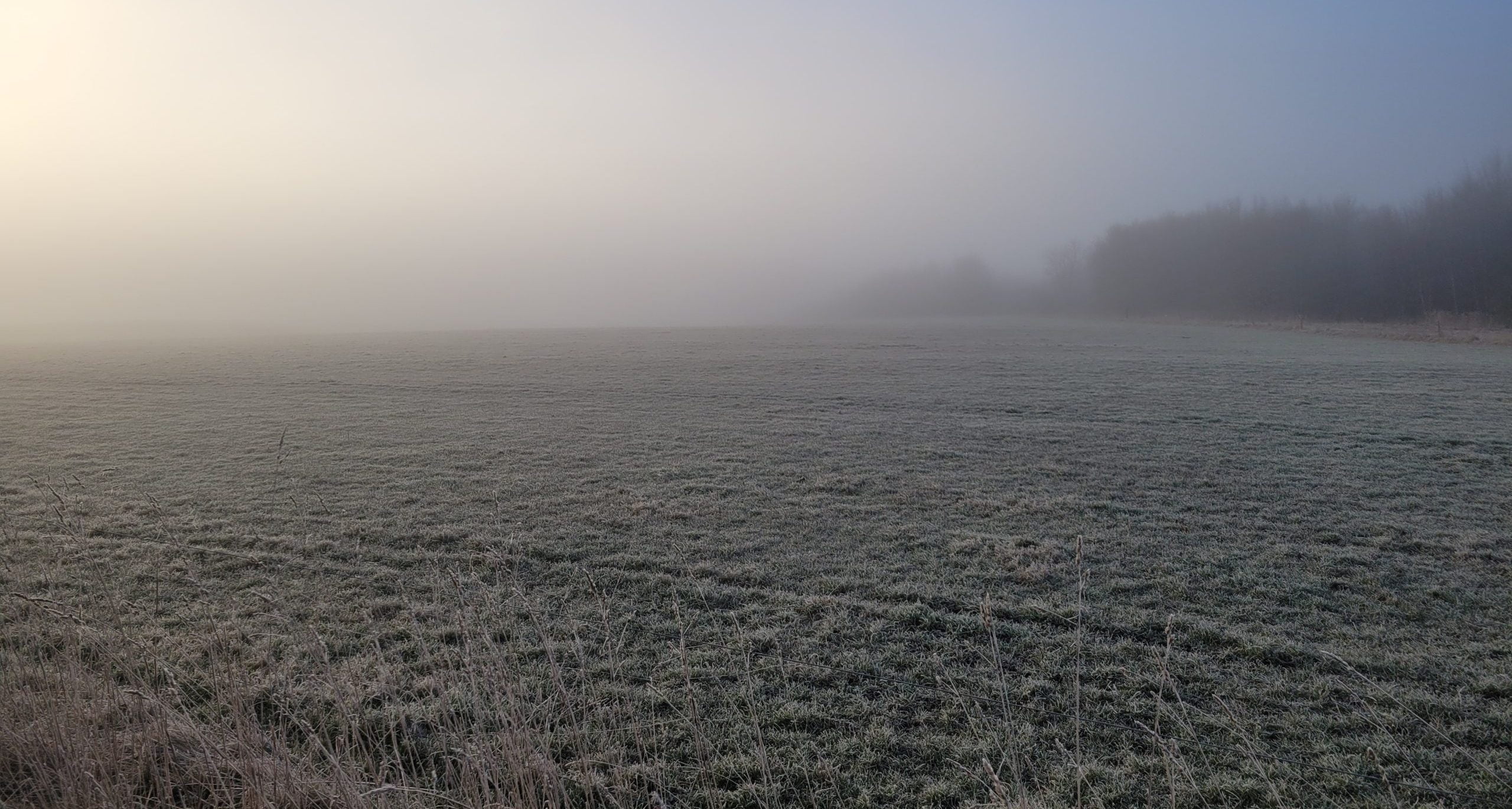 Skam i parforholdet & i familien