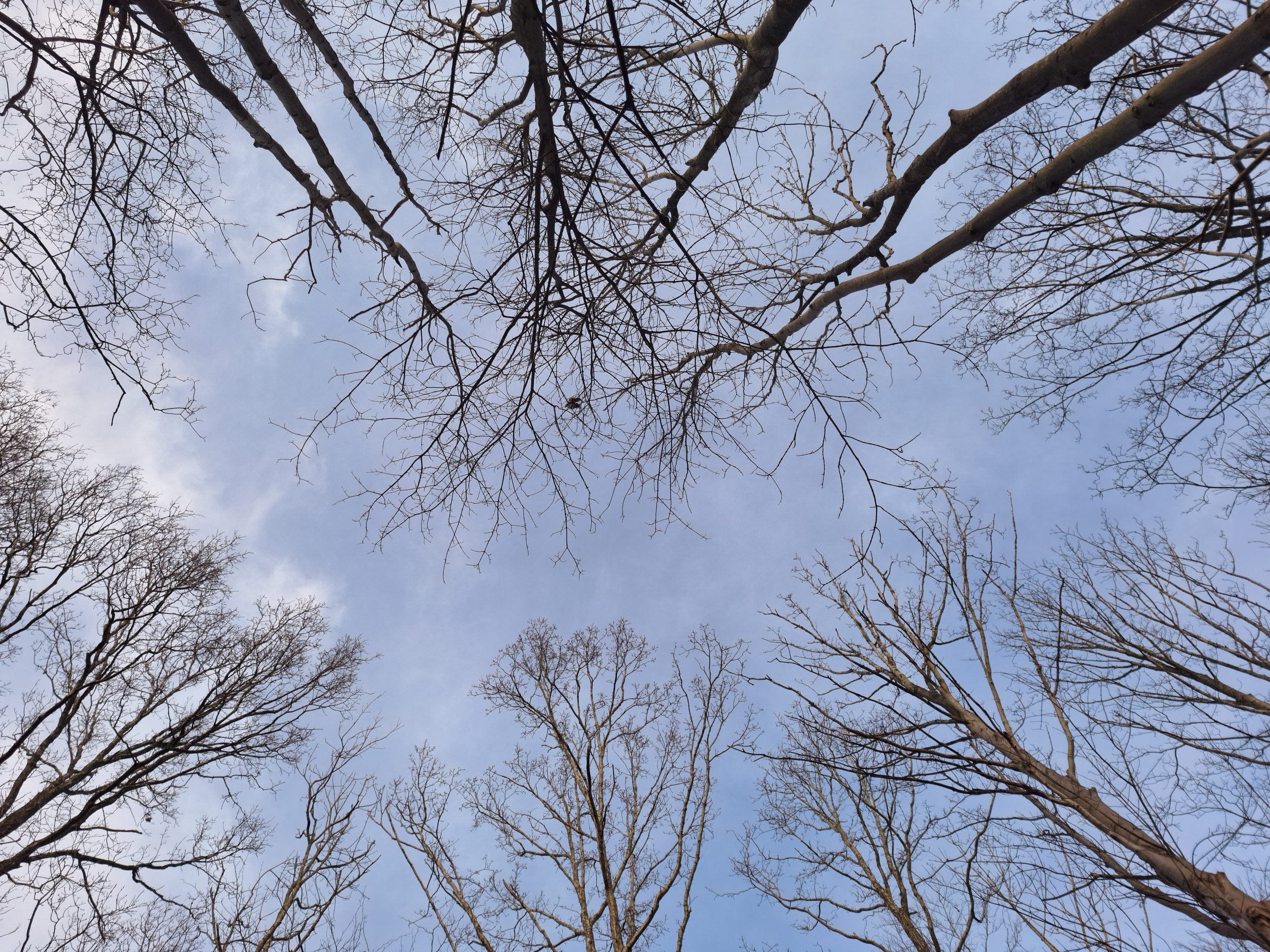 Tab og sorg i familien